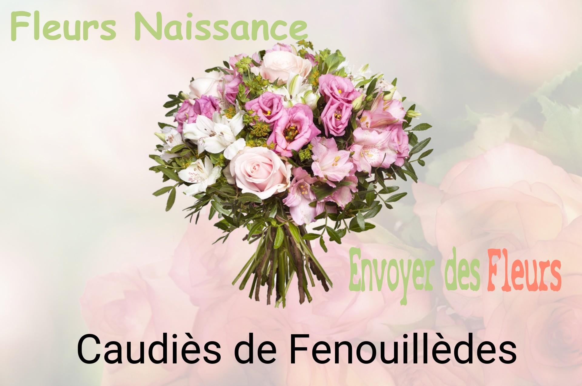 Bouquet de fleurs de naissance livré à Caudiès-de-Fenouillèdes